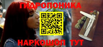 метадон Новодвинск