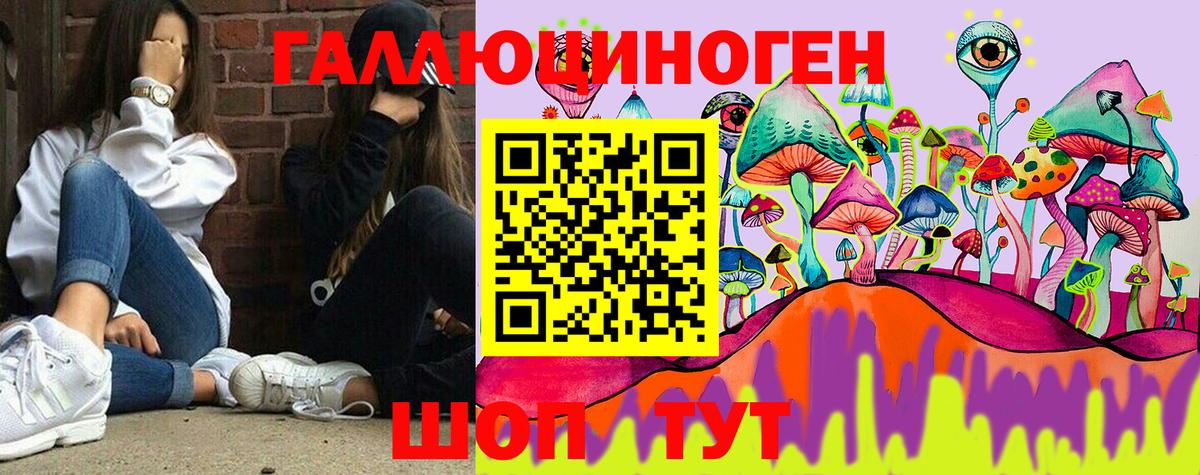 Ставрополь  Галлюциногенные грибы прущие грибы  Вход с VPN 